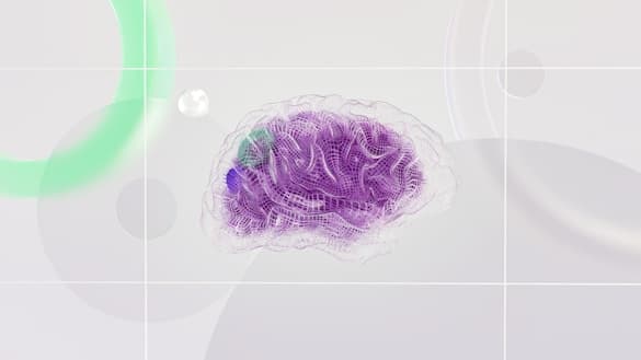Deployment & Optimization